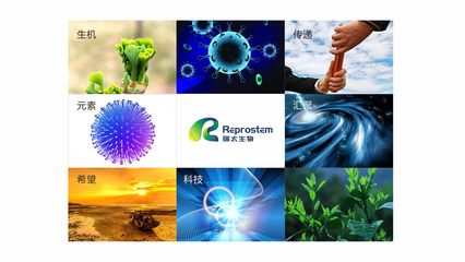 瑞太生物科技 推動生物技術創新，引領健康未來